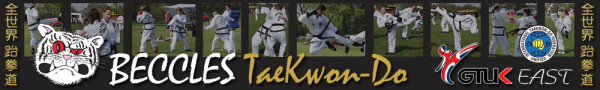 beccles taekwondo