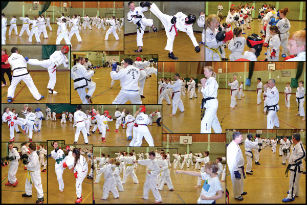 Taekwondo Clubs Seminar