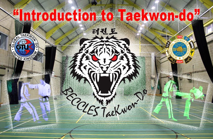 community Taekwon-do sessions